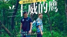 逃离电梯间